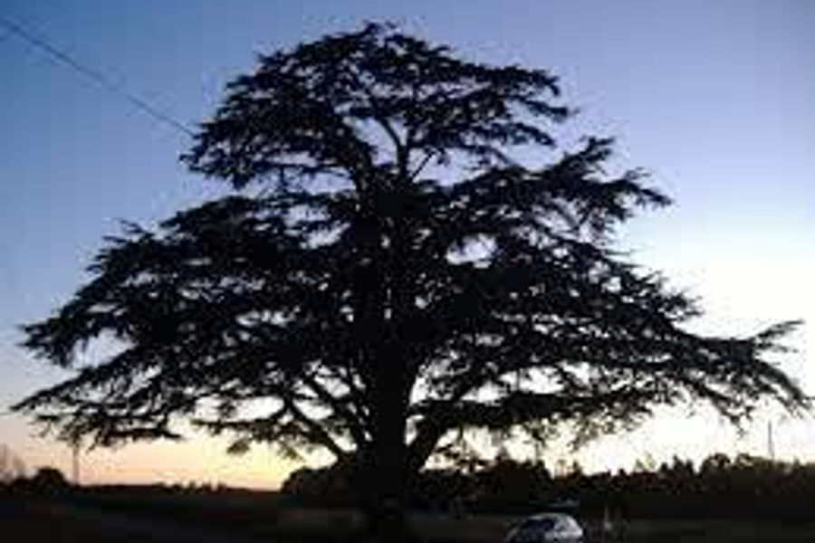 Touristic Attractions in Lebanon